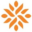MentorMate logo