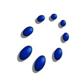 WPG.srl logo